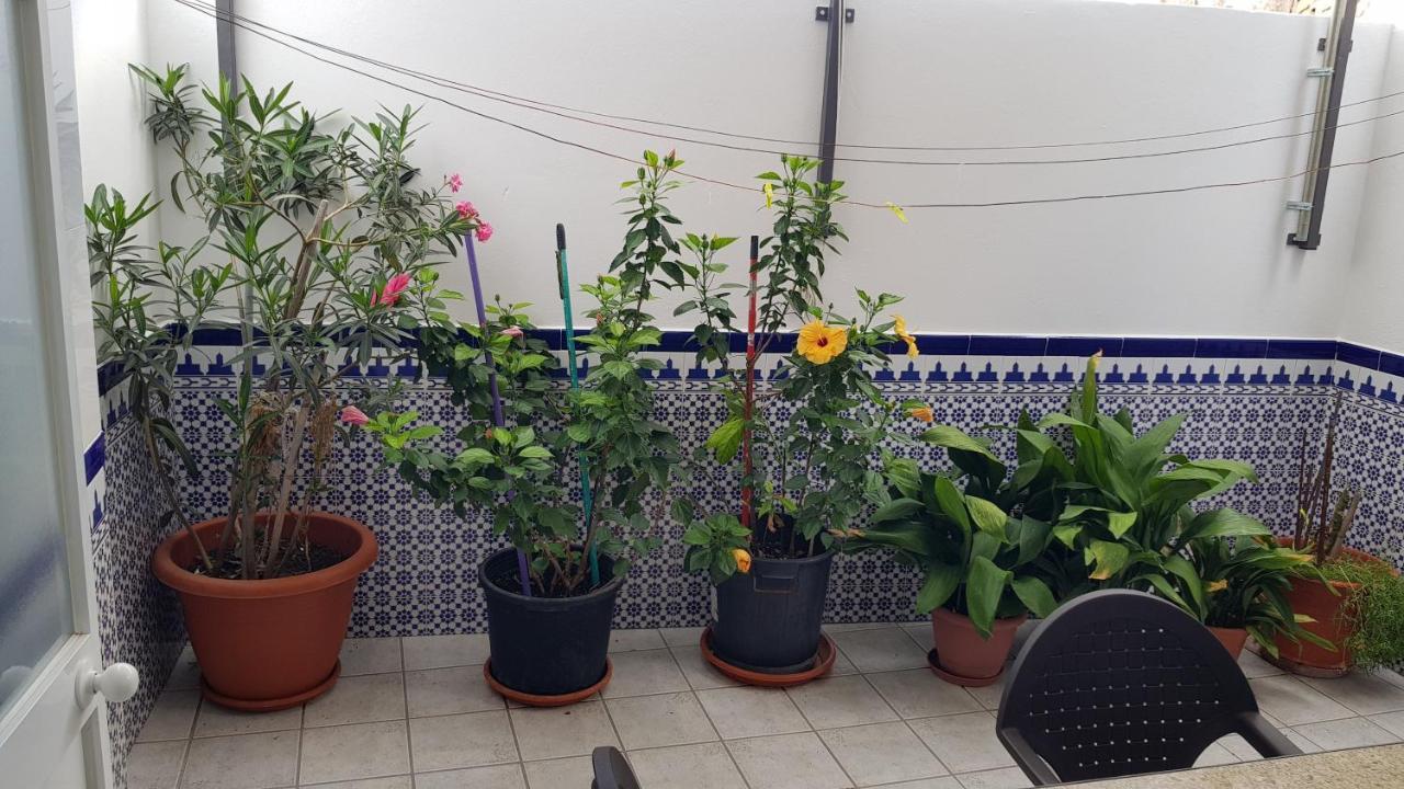 דירות אלגודונאלס Apartamento Callejuela Las Flores מראה חיצוני תמונה